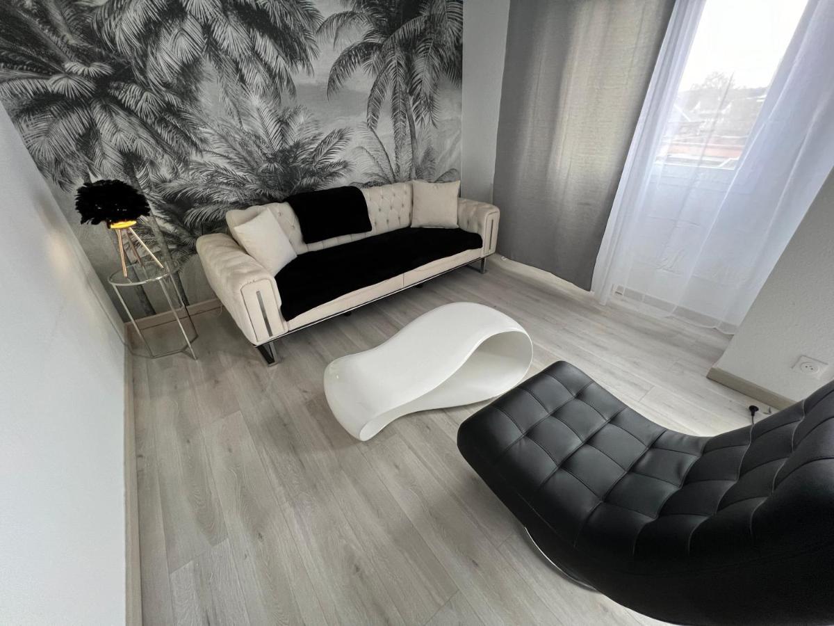 Le Cannois, Appartement De Star 3 Chambres Mulhouse Exterior foto