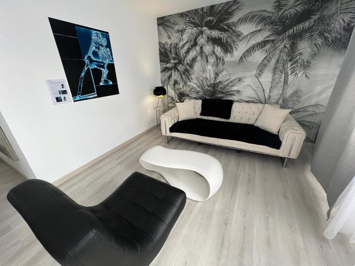 Le Cannois, Appartement De Star 3 Chambres Mulhouse Exterior foto